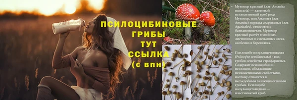 герыч Зерноград