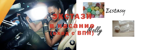 индика Аркадак