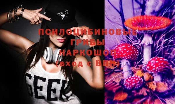 винт Алзамай