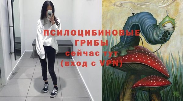 винт Алзамай