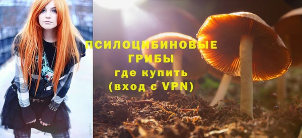 винт Алзамай