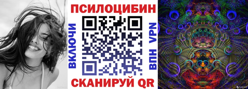 наркошоп  Майкоп  Псилоцибиновые грибы Psilocybe 