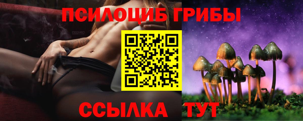 Галлюциногенные грибы Magic Shrooms  Вход с VPN  продажа наркотиков  Майкоп 